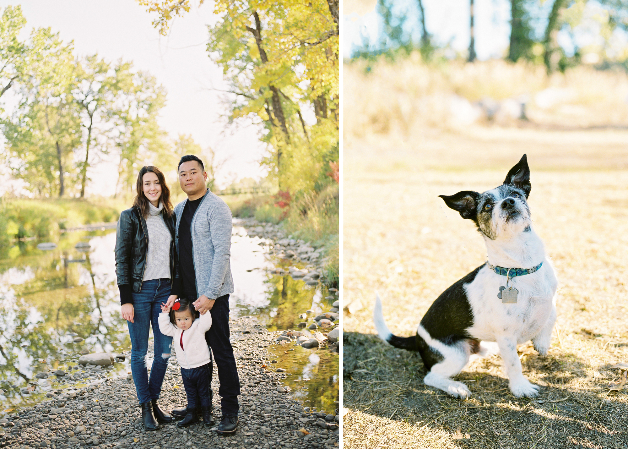 Fall family photos taken in Fish Creek Park