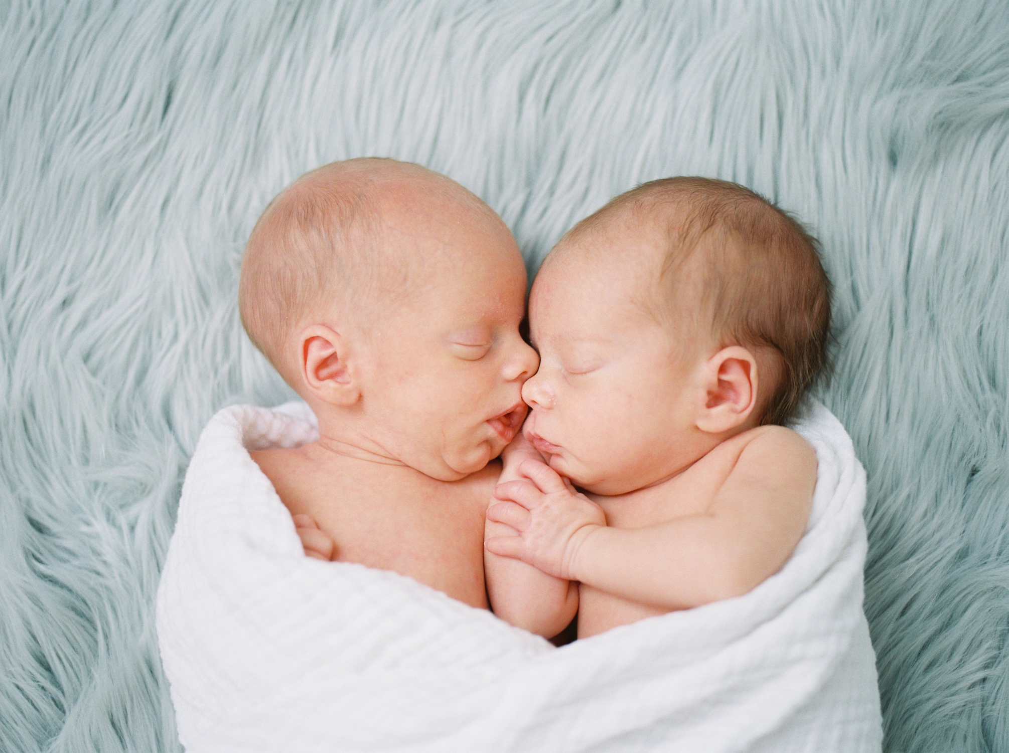 photograph of newborn twin babies wrapped snuggling together in a white blanket.